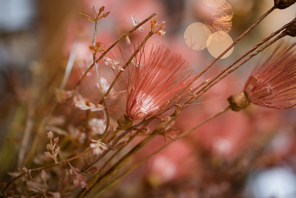 8-7-22 (32 of 416)