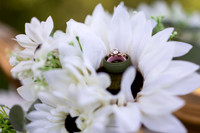 Elopement-12