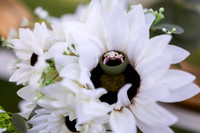 Elopement-14