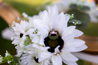 Elopement-16
