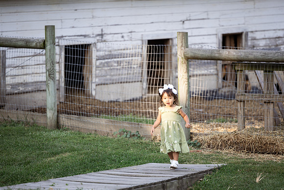 BuckleyHomestead-207