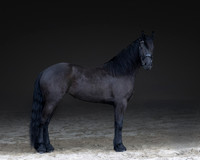 512A0481-Edit