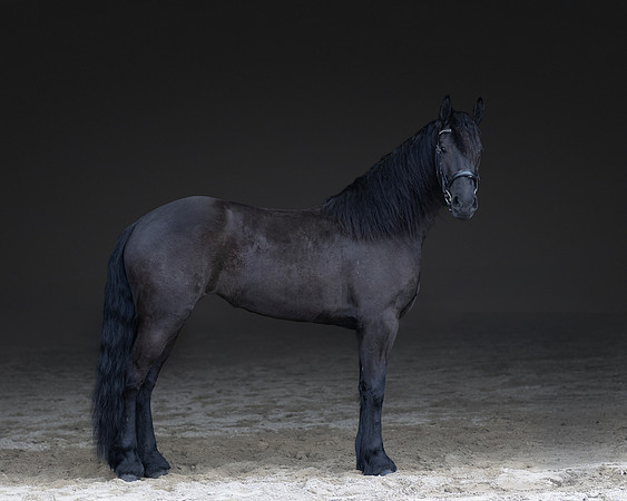512A0481-Edit