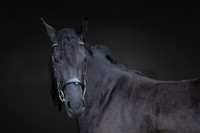 KAY14595-Edit