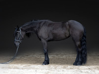 512A0561-Edit