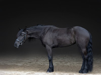 512A0565-Edit