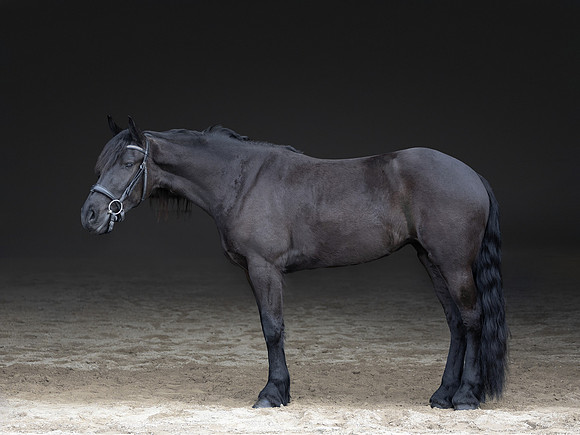 KAY14589-Edit