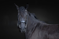 KAY14596-Edit