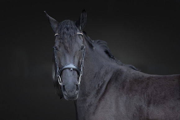 KAY14596-Edit