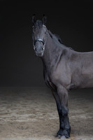 KAY14601-Edit