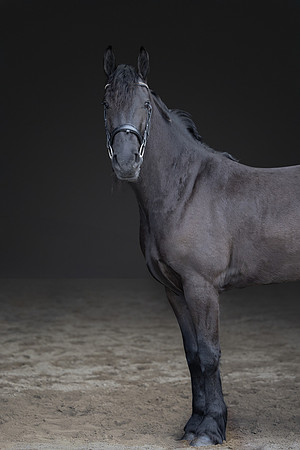KAY14601-Edit
