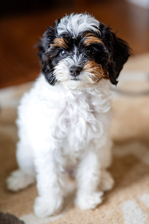 512A1565-14
