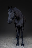 KAY15520-Edit-2