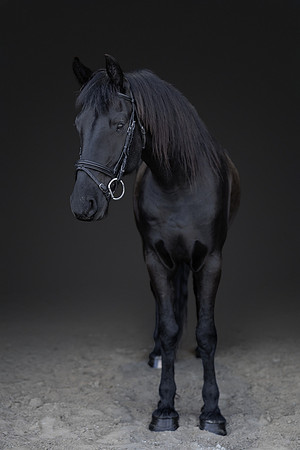 KAY15520-Edit-2