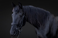 KAY15549-Edit-2