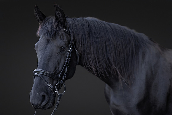 KAY15549-Edit-2