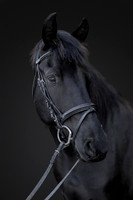 KAY15541-Edit-2