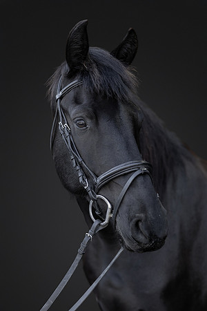 KAY15541-Edit-2