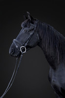 KAY15551-Edit-2