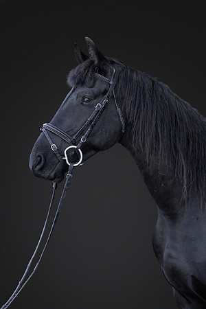 KAY15551-Edit-2