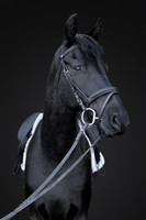 KAY15624-Edit-2