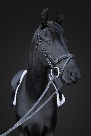 KAY15624-Edit-2