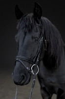 KAY15538-Edit-2