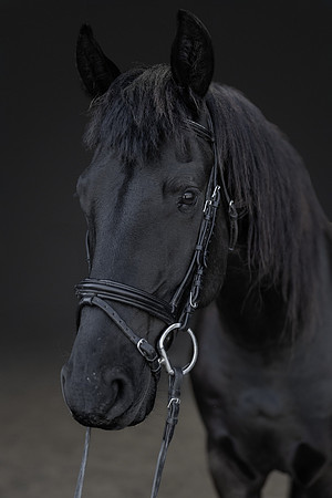 KAY15538-Edit-2