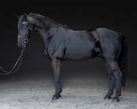 KAY16168-Edit