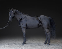 KAY16179-Edit