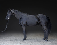 KAY16185-Edit