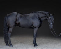KAY16209-Edit
