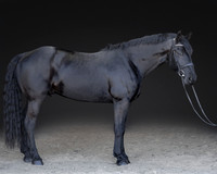KAY16227-Edit