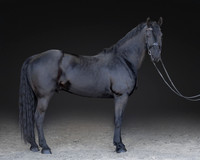 KAY16205-Edit
