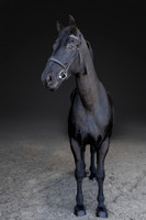 KAY16246-Edit