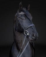 KAY16251-Edit