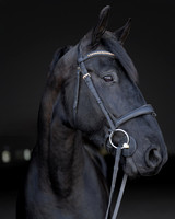KAY16274-Edit