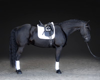 KAY16343-Edit
