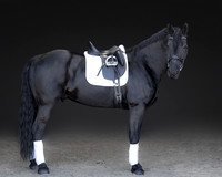 KAY16323-Edit
