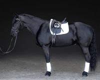 KAY16286-Edit