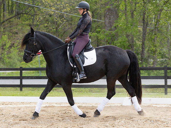 512A0901-6