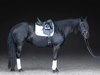 512A0875-Edit