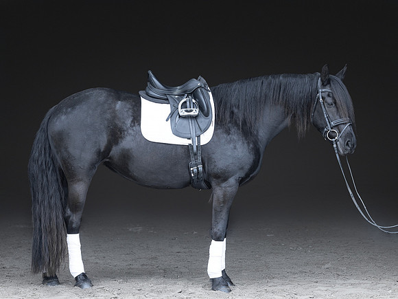 512A0875-Edit