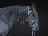 512A0828-Edit