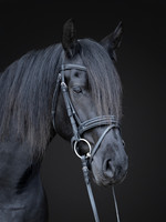 512A0812-Edit