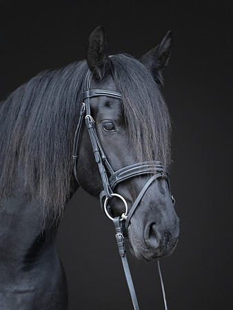 512A0812-Edit