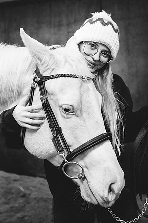 horses-5