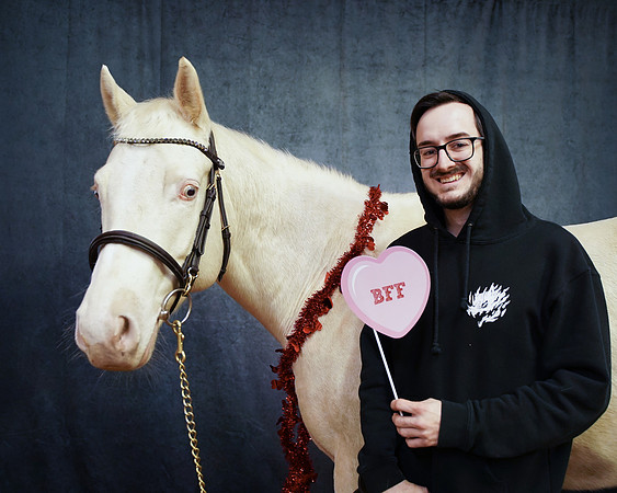 horses-2
