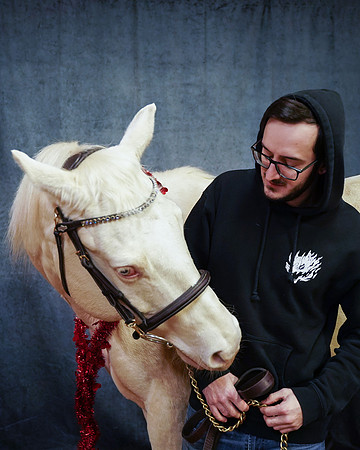 horses-3