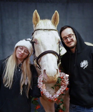 horses-7